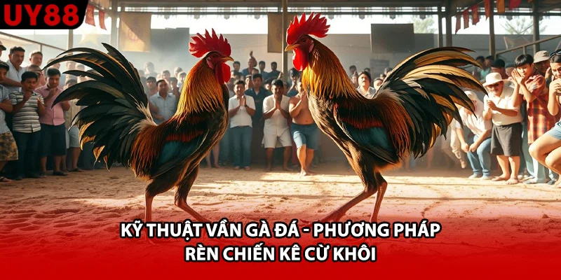 Kỹ Thuật Vần Gà Đá - Phương Pháp Rèn Chiến Kê Cừ Khôi