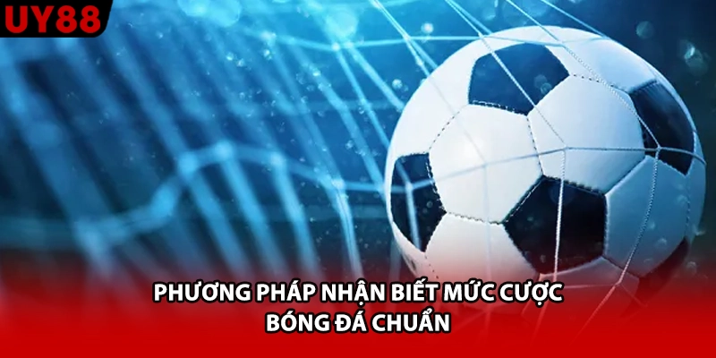 Phương pháp nhận biết mức cược bóng đá chuẩn