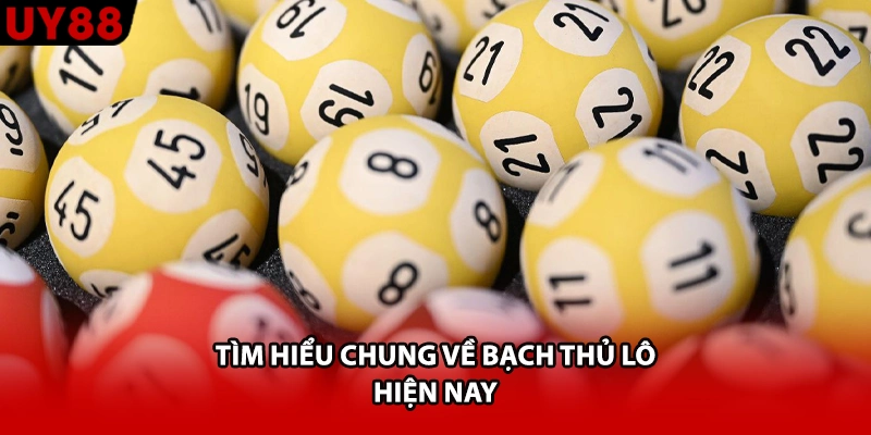 Tìm hiểu chung về bạch thủ lô hiện nay
