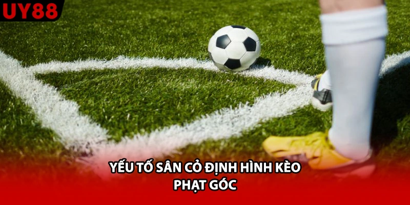 Yếu tố sân cỏ định hình kèo phạt góc